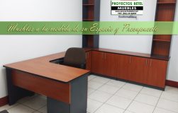Escritorio ejecutivo para atencio