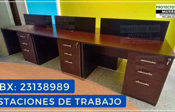 Estacion de trabajo 6p