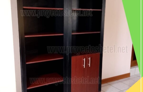 Librera o armario combinado